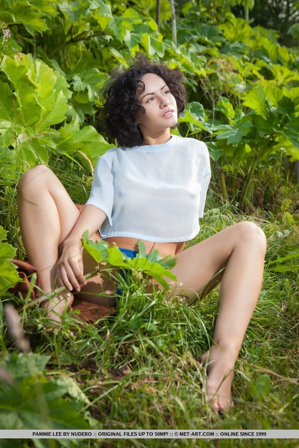 Picture by glambabes-galleries showing 'Solo girl with curly hair Pammie Lee bare her hot body amid greenery' number 17