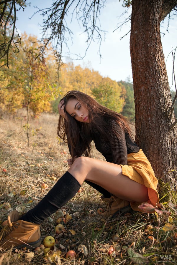 Picture by glambabes-galleries showing 'Glam model Sabrisse shows landing strip pussy in black knee socks under a tree' number 1